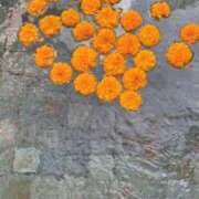 ヒメ日記 2026/04/10 01:44 投稿 永井みな 五反田はじめてのエステ