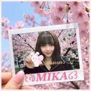 みか 春🌸 ナンバーゼロハチイチ