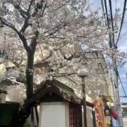 ヒメ日記 2026/04/02 18:29 投稿 桜庭こはく 天雅 TENGA