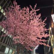 ヒメ日記 2026/03/10 19:00 投稿 歌原 幸紀 人妻セレブ宮殿