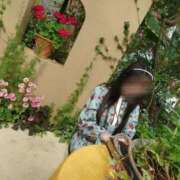 ヒメ日記 2026/03/14 07:45 投稿 歌原 幸紀 人妻セレブ宮殿