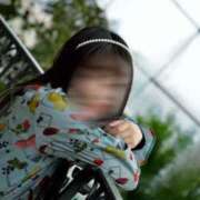 ヒメ日記 2026/03/16 14:30 投稿 歌原 幸紀 人妻セレブ宮殿