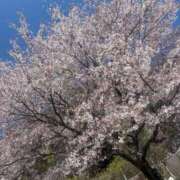 ヒメ日記 2026/04/08 15:35 投稿 あんな 群馬高崎前橋ちゃんこ