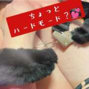 ヒメ日記 2026/03/25 22:44 投稿 あのん セレブクエスト-Nishikawa-