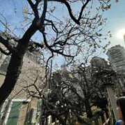 ヒメ日記 2026/03/16 10:46 投稿 明智 熟女の風俗最終章　鶯谷店