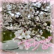 ヒメ日記 2026/04/01 16:19 投稿 ★First Love★ ピンクコレクション大阪