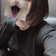 ヒメ日記 2026/03/20 01:25 投稿 らむ♡自信を持ってお勧めします CLUB A〜クラブエース〜