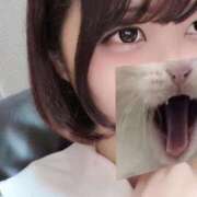 ヒメ日記 2026/04/01 20:35 投稿 らむ♡自信を持ってお勧めします CLUB A〜クラブエース〜