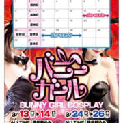 ヒメ日記 2026/03/13 20:28 投稿 れお ポポ