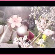 ヒメ日記 2026/04/03 20:25 投稿 ちはる with SPA (ウィズスパ)