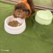 ヒメ日記 2026/04/04 08:47 投稿 みな ミラー