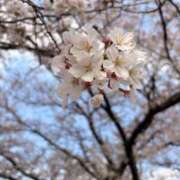 ヒメ日記 2026/04/13 20:54 投稿 みな ミラー