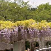 ヒメ日記 2026/04/26 08:46 投稿 みな ミラー