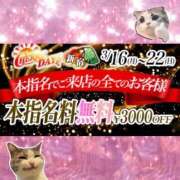 ヒメ日記 2026/03/17 09:18 投稿 みずき チェリーデイズ新宿店