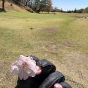 ヒメ日記 2026/04/10 07:43 投稿 くらん ドンファン