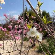 香奈(かな)♥虜にする笑顔 こんにちは香奈です☺️ 美魔女コレクション