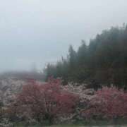 ヒメ日記 2026/04/02 10:02 投稿 香奈(かな)♥虜にする笑顔 美魔女コレクション