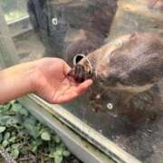 ヒメ日記 2026/04/12 11:16 投稿 香奈(かな)♥虜にする笑顔 美魔女コレクション