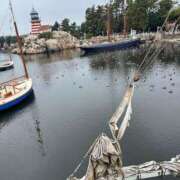 ヒメ日記 2026/04/27 10:38 投稿 りの シルクハット