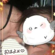 ヒメ日記 2026/10/12 08:05 投稿 かえで 待ちナビ