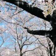 ヒメ日記 2026/03/16 10:51 投稿 さら 治療院.LOVE 宇都宮店