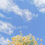 ヒメ日記 2026/04/27 06:06 投稿 さら 治療院.LOVE 宇都宮店