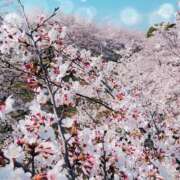 ヒメ日記 2026/04/28 09:03 投稿 さら 治療院.LOVE 宇都宮店