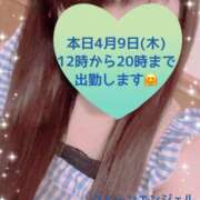 ヒメ日記 2026/04/09 08:09 投稿 玲奈 Queen Angel(クイーンエンジェル)