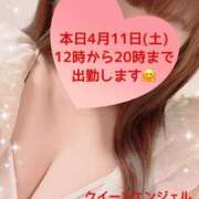 ヒメ日記 2026/04/11 08:17 投稿 玲奈 Queen Angel(クイーンエンジェル)