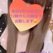 玲奈 出勤します🎀 Queen Angel(クイーンエンジェル)