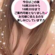 ヒメ日記 2026/06/06 11:51 投稿 玲奈 Queen Angel(クイーンエンジェル)