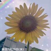 ヒメ日記 2026/07/29 08:37 投稿 玲奈 Queen Angel(クイーンエンジェル)