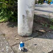 蛍 雨降っちゃった 五反田人妻城