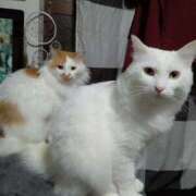 ヒメ日記 2026/04/19 12:48 投稿 あみ あげまん 梅田店