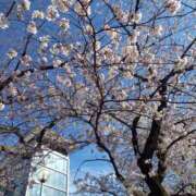 ヒメ日記 2026/04/02 15:09 投稿 ちえ 素人妻御奉仕倶楽部Hip's松戸店