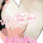 ヒメ日記 2026/04/15 09:19 投稿 ちえ 素人妻御奉仕倶楽部Hip's松戸店