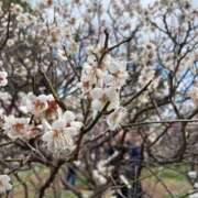 ヒメ日記 2026/03/10 17:23 投稿 きょうこ 完熟ばなな神戸・三宮店