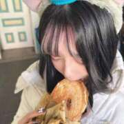 ヒメ日記 2026/03/25 09:45 投稿 つゆり ロイヤルフラッシュ