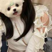 ヒメ日記 2026/04/08 19:31 投稿 西園寺　みや ナディア（奈良）