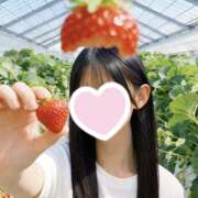 ヒメ日記 2026/05/26 08:12 投稿 みさ 新橋フェアリーズ