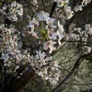 ヒメ日記 2026/04/01 20:35 投稿 とい 隙のあるエステ