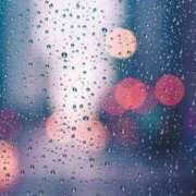 ヒメ日記 2026/04/04 21:03 投稿 らん 華椿（YESグループヨコハマ）