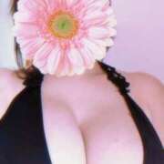 ヒメ日記 2026/03/11 17:46 投稿 雨宮万里香 五十路マダム富山店(カサブランカグループ)