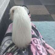 ヒメ日記 2026/03/19 15:02 投稿 雨宮万里香 五十路マダム富山店(カサブランカグループ)