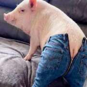 ヒメ日記 2026/03/31 12:54 投稿 雨宮万里香 五十路マダム富山店(カサブランカグループ)