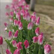 雨宮万里香 おはようございます(*^^*) 五十路マダム富山店(カサブランカグループ)