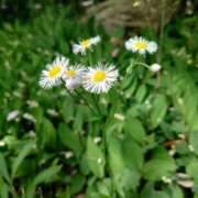 ヒメ日記 2026/05/12 09:26 投稿 雨宮万里香 五十路マダム富山店(カサブランカグループ)