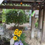 ヒメ日記 2026/07/12 02:08 投稿 伊咲 いおり セカンドパートナー本店