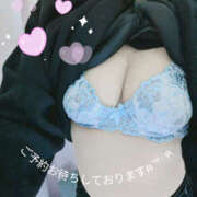 ヒメ日記 2026/03/20 13:55 投稿 こなつ 奥鉄オクテツ和歌山