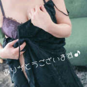 ヒメ日記 2026/03/21 07:25 投稿 こなつ 奥鉄オクテツ和歌山